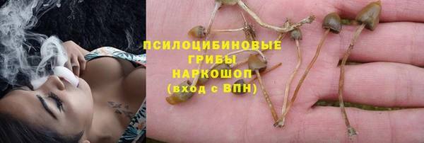 прущий лед Армянск