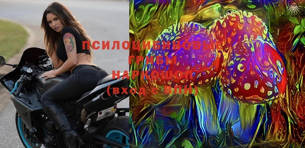 прущий лед Армянск