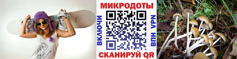 Псилоцибиновые грибы MAGIC MUSHROOMS Купить где Верхнеуральск